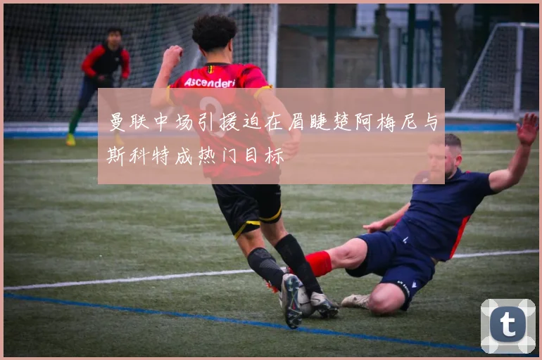 曼联中场引援迫在眉睫楚阿梅尼与斯科特成热门目标